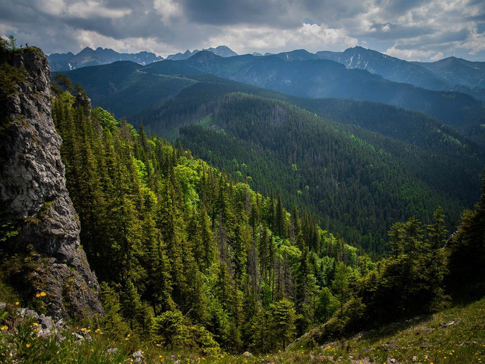 Nosal — Zakopane