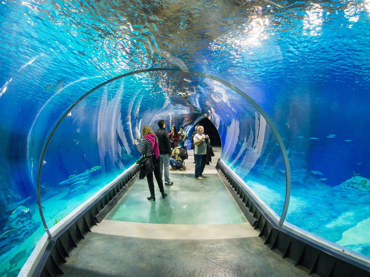 Afrykarium — Wrocław